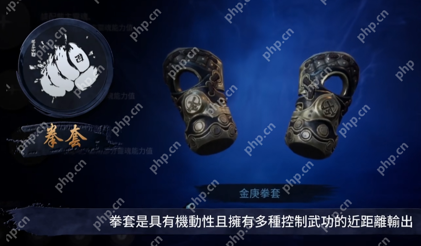 剑灵2拳师值得练吗？近战天花板深度解析