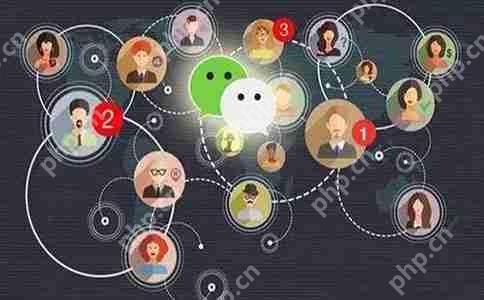 IT圈内最受欢迎的软件开发教程让你轻松掌握技能！