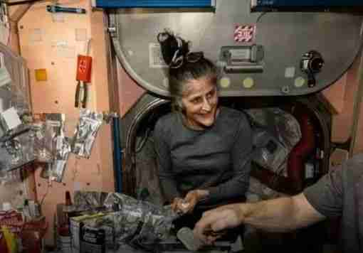 飞船明天发射！美国两名流浪宇航员终于可以回来了