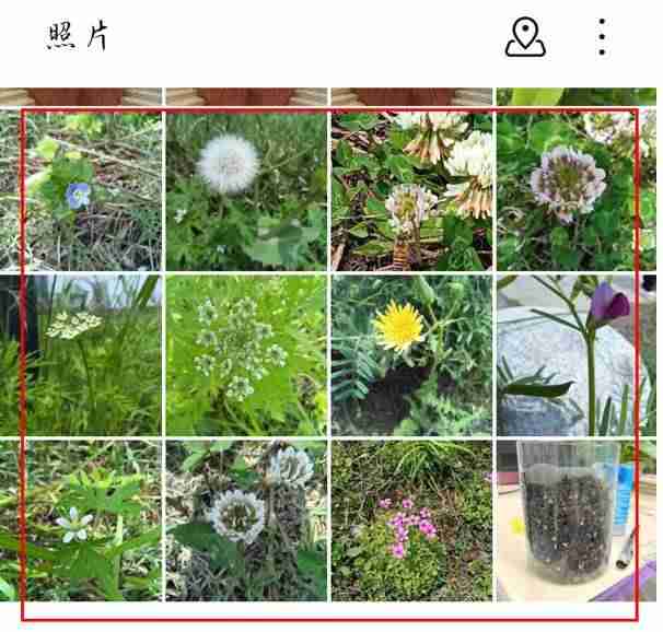 荣耀手机怎么将照片转换成pdf格式_华为手机照片转换成pdf步骤分享