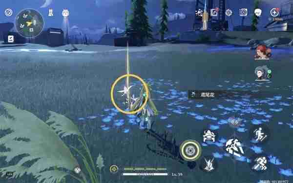 《鸣潮》鸢尾花位置说明-鸢尾花采集线路分享