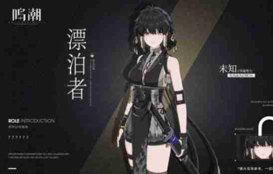 《鸣潮》漂泊者最新阵容搭配技巧指南