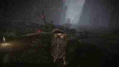 《艾尔登法环》刷怪靶场点位详细推说明