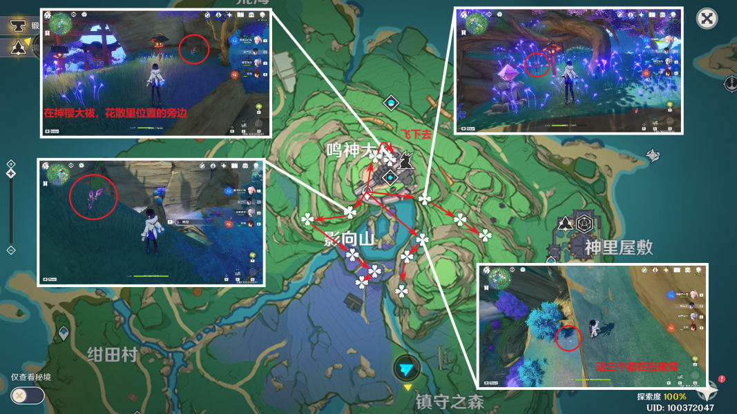 《原神》鸣草收集方法及详细路线分享