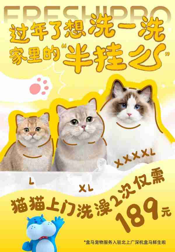 宠物也要“洗剪吹”过年 盒马宠物服务上海上线一周年再升级