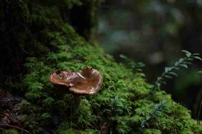 佳能发布恒定F2.8光圈轻量化超广角变焦镜头RF16-28mm F2.8 IS STM