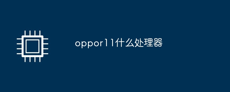 oppor11什么处理器