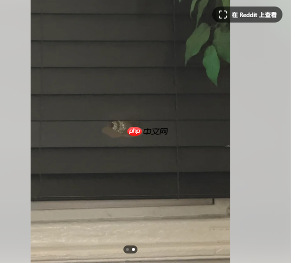 玩家展示PC主机额外功能 挡住一颗射向玩电脑孩子的子弹