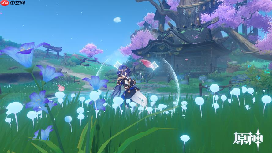 云原神能否保存本地截图_云原神截图存储与导出方法【方法】