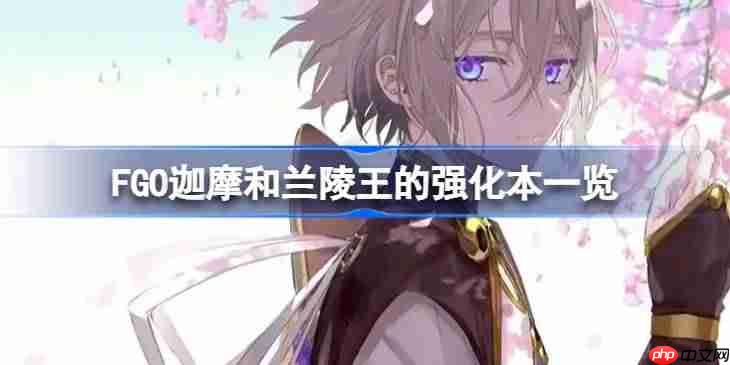 FGO迦摩和兰陵王的强化本一览-FGO迦摩和兰陵王的强化本有哪些