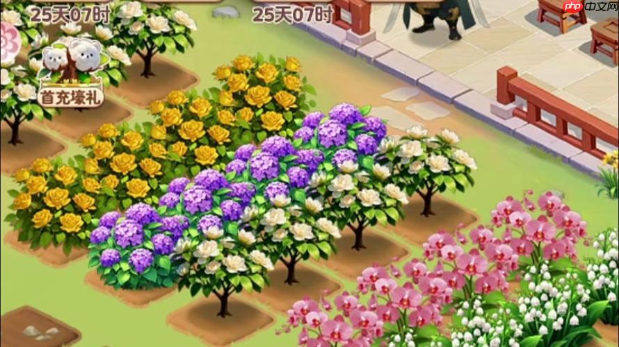 我的花园世界游戏怎样参与跨服花园评选_我的花园世界游戏跨服评选规则【赛制】