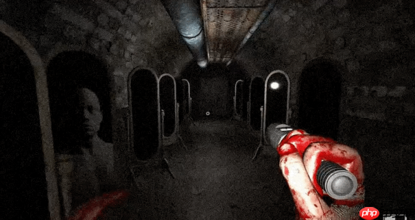 好评心理恐怖系列回归！《不要害怕：精神病院》Steam中文页面上线