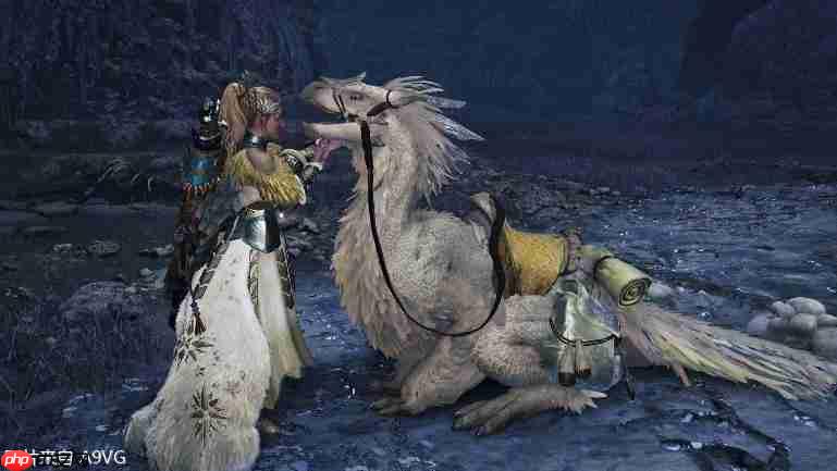 《怪物猎人 荒野》第四次免费更新介绍视频 12月16日上线