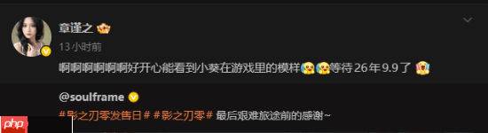 本人超好看！影之刃零女脸模回应:看到游戏形象很开心