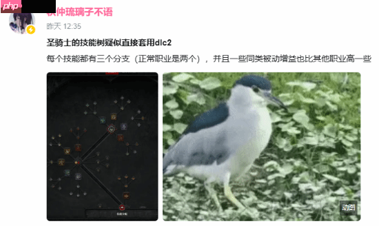 暴雪到底有没有卖数值？《暗黑4》新职业强度逆天