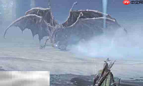 艾尔登法环黑夜君临雾中裂缝战斗指南 黑夜雾霾卡莉果弱点分析