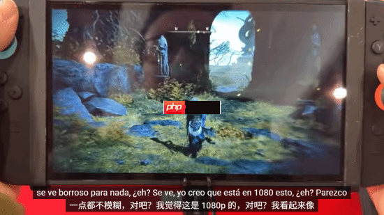 NS2《艾尔登法环》优化可喜！可算能正常玩了