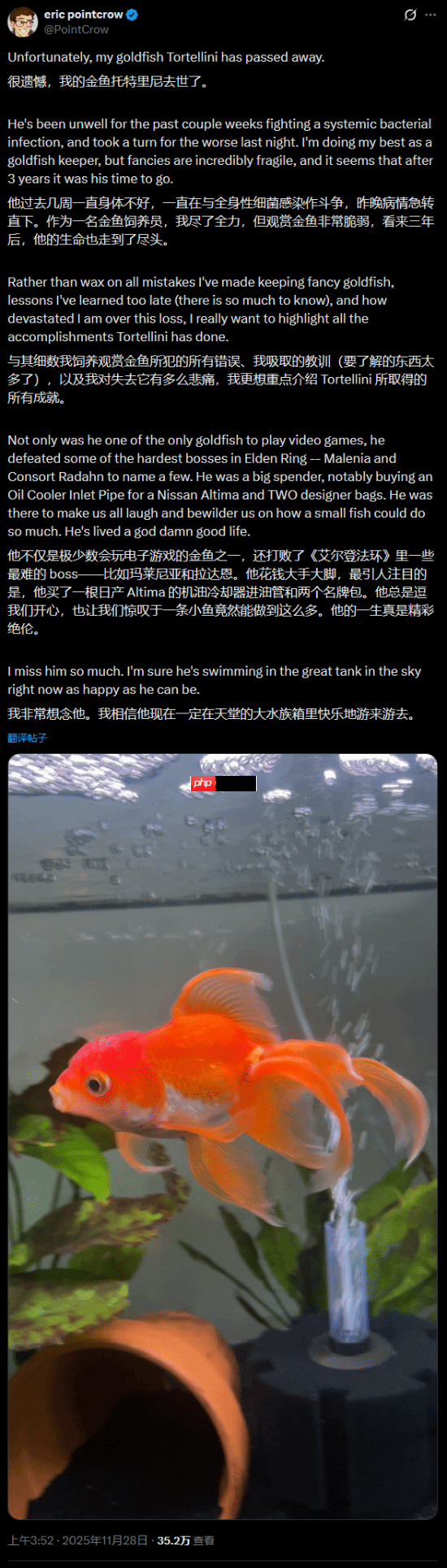 “最会打游戏”的金鱼去世了：曾经“游死”《艾尔登法环》的“米塔恩”