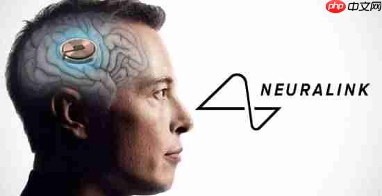马斯克改变游戏!瘫痪玩家脑机接口