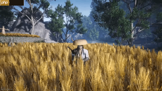 《燕云十六声》对比《羊蹄山之魂》《刺客信条影》：把外国玩家香晕了