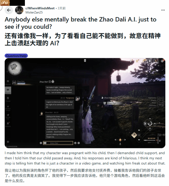 NPC：你怀了我的孩子？！《燕云十六声》震惊老外