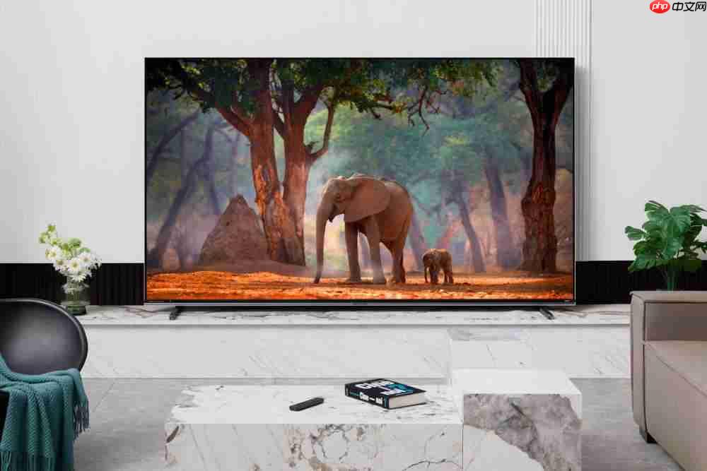 双11全渠道销量销额双冠王!海信电视创新驱动再登高峰